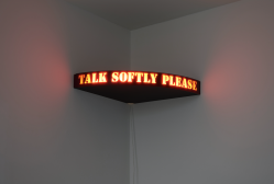 Rutherfords’s Box, Interaktiver Leuchtkasten (VU-Meter), 1992, mit eingebautem Ornithologen Mikrofon (Plexiglas mit Elektronik, LED Lampen), 10 x 60 x 60 cm, Galerie Françoise Heitsch