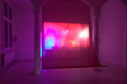 "Becoming-Rabe", 2016, video installation, dimensions variable, installation view „Setz dein Ich in Anführungsstriche“, Kunstverein Göttingen, Foto: Lucie Marsmann